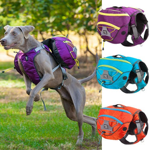 Pet self backpack