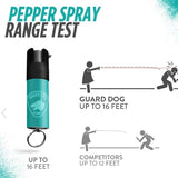 KEYCHAIN MINI PEPPER SPRAY - Safe At College